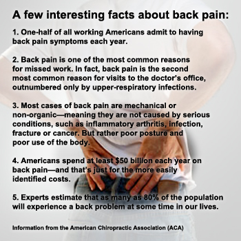 Fast Facts: Low Back Pain-OA   - The University